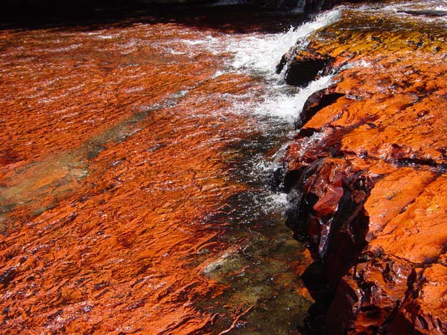 LA GRAN SABANA