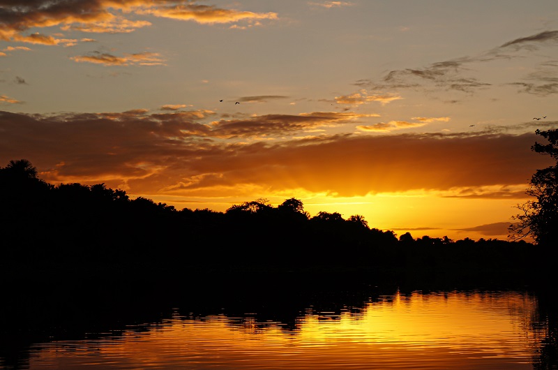 Orinoco Delta Lodge